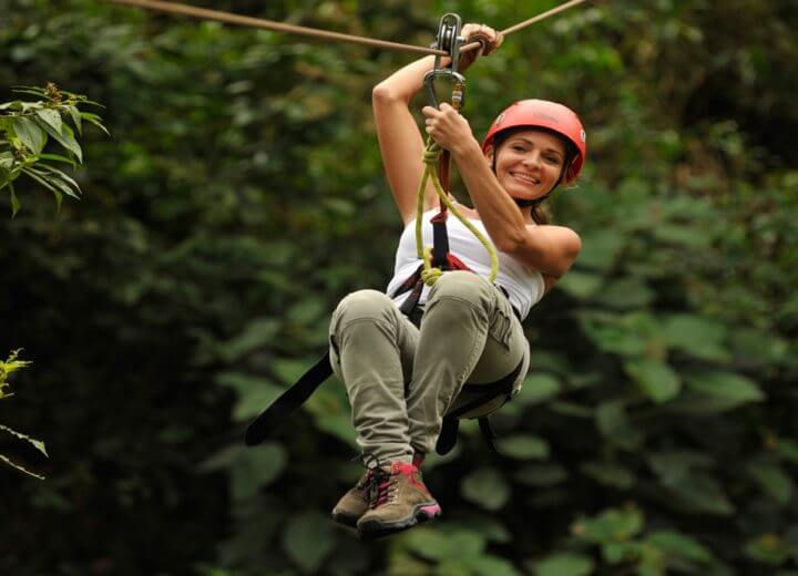 We will offer you new services canopy tour